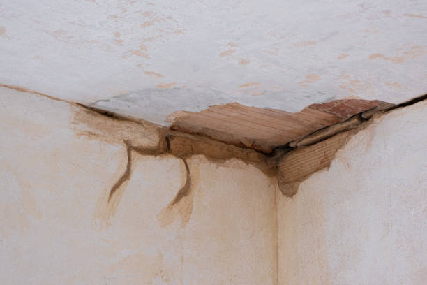 Best Basement Water Damage Restoration in Melrose, MN